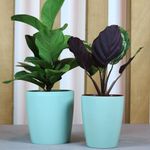 Vaso-de-Jardim-Vasart-Orquidea-Ver-Vintage-15x16cm