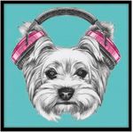 Quadro-Decorativo-E2G-Design-Barcelona-Headphone-Dog-30x30cm