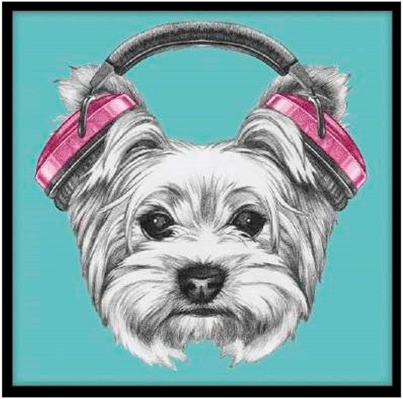 Quadro-Decorativo-E2G-Design-Barcelona-Headphone-Dog-30x30cm