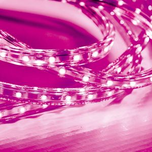 Fita Led Taschibra 5w/m Ip67 220v Alta Proteção Cores Metro Rosa