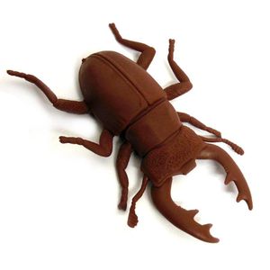Enfeite Halloween Besouro De Borracha
