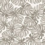 Papel-De-Parede-Bobinex-6930-Costelas-De-Adao-Cinza