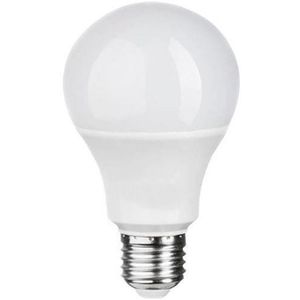 Lâmpada LED Bulbo 10W 2700K Luminatti LM256 110V