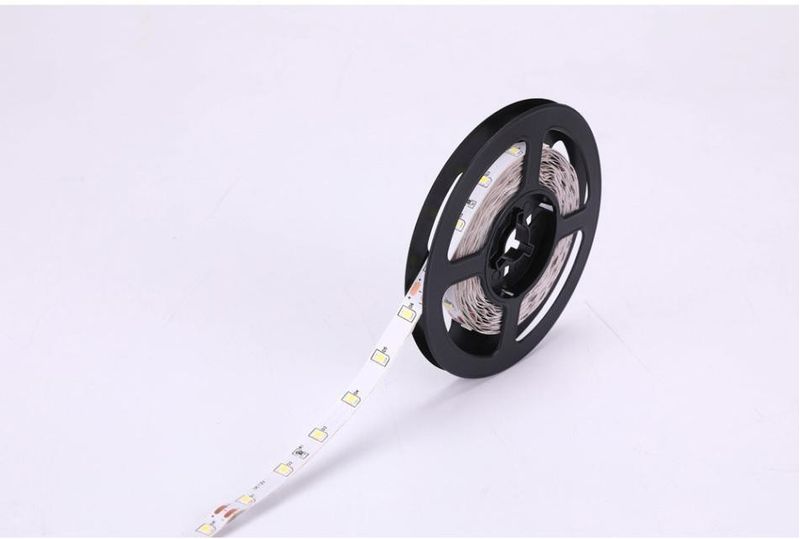 Fita-LED-Luz-Branca-6500K-5M-30W-Cobre-Blumenau-Transparente-Bivolt