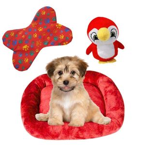 Kit Caminha Pet Bigata M Luxo Fofa Com Comedouro E Pelucia Vermelho