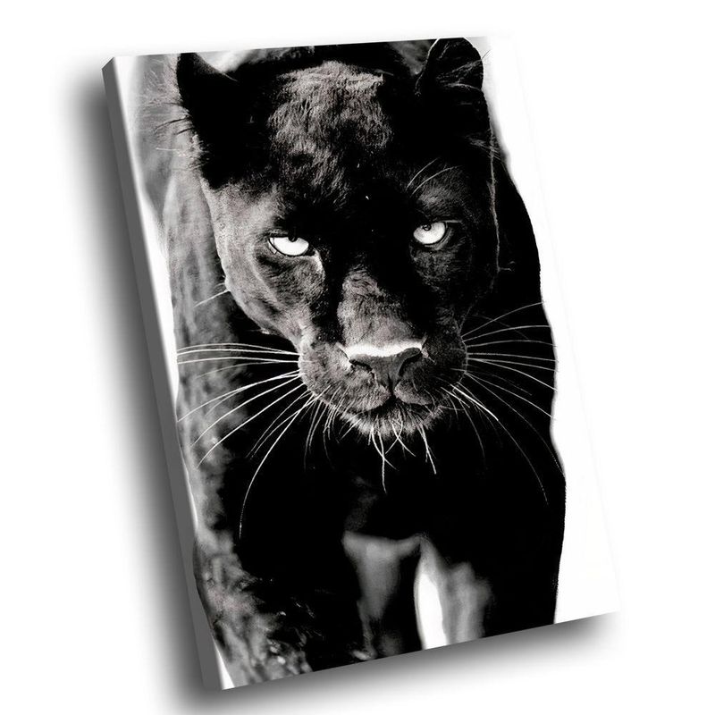 image-dcb91bfc325548209a72c80ad4ba6845