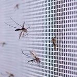 image-d4a79446a97d46c999db106c5d3680b7