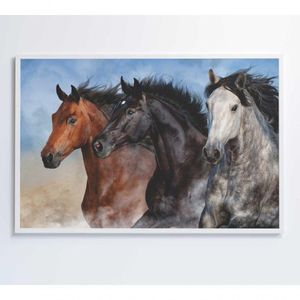 Quadro Cavalos Correndo Medidas 90x60 Cm Impressão Vidro Acrílico
