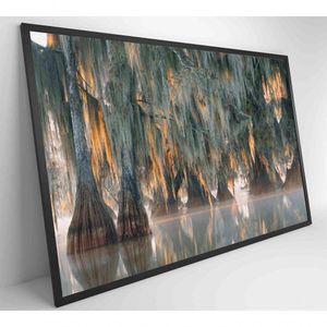 Quadro árvores De Ciprestes No Lago Martin Medidas 90x60 Cm Impressão Tecido Canvas