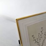 image-cf204d8c8d034650b1a11156fc55f97d