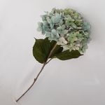 image-d79c172d32ad4ecfb05aecb727d6344d