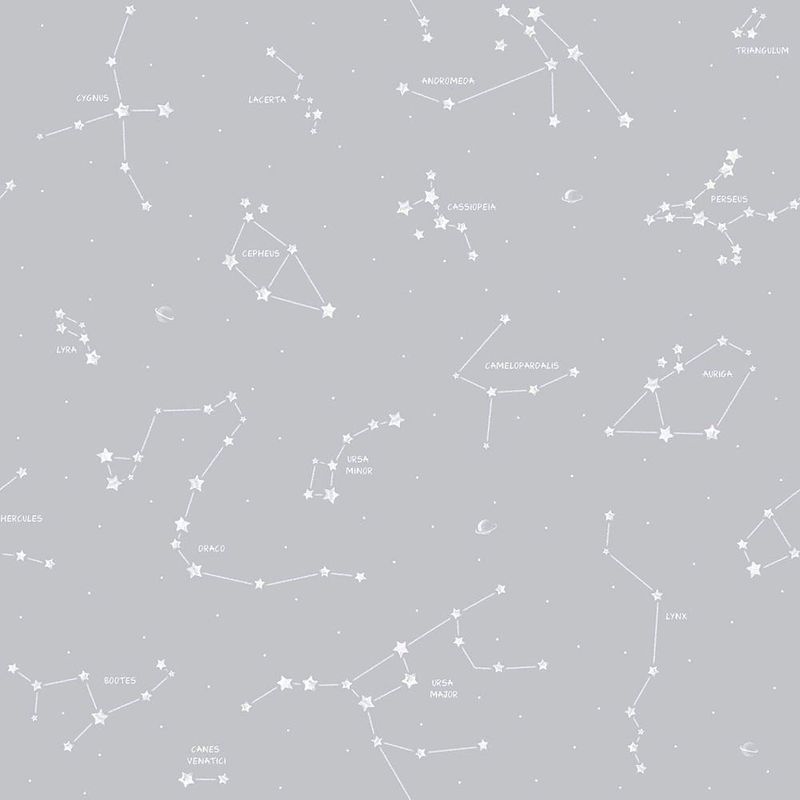 image-6d114eb3402849d081d9e1eb31a854ee