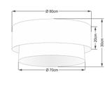 image-e45c920f685846ae9d6402cdb919ec70