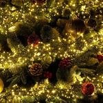 image-ac311ad2dedf433cadfc8c4bc79e8726