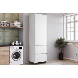 Multiuso Lavanderia Rainha C- 2 Portas E 2 Gavetas 70cm Branca - Nesher