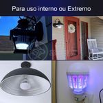 image-d15efefddb464ec1926a16ea52292900
