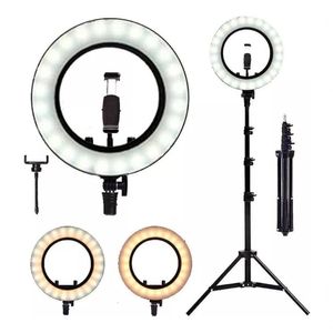 Right Light Ring Led 26 Cm +tripé 2 Metros Youtuber Tic Toc