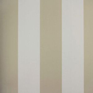 Papel De Parede Listrado Classic Stripes Ct889061 Vinílico - Rolo 10m X 0,53m