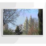 image-aa4418cd285c4a88a9e4cf2c39211ae5