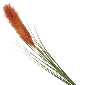 Haste Pluma Capim Dos Pampas Artificial 100cm