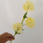 image-110c4729b3ad45fe993da6577a2f1858