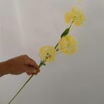image-2e650b61a5664fa4bba4aa41f4071742