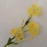 image-33f0d06681b44f67b99a583954f69271