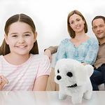 image-2a080f9944b04c5c9012281d5ca98cf6