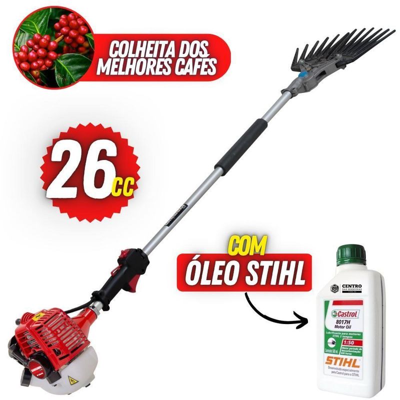 image-d35ae755b3c448f1b1da21d47a69e66a