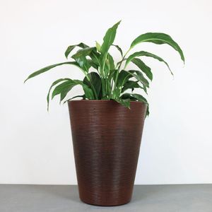 Vaso Bali 45 X 55 Cm Cor 09 - Antique Rusty