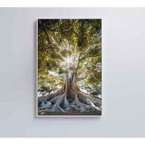 Quadro árvore 80x120 Cm Adesivo Fotográfico