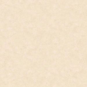 Papel De Parede Nature Pedra Bege Tonu8002