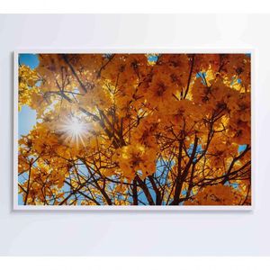 Quadro Ipê Amarelo 2 120x80 Cm Tecido Canvas