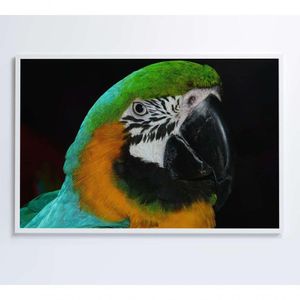 Quadro Arara Verde 120x80 Cm Vidro Impresso