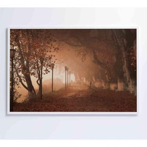 Quadro Bosque 120x80 Cm Adesivo Fotográfico