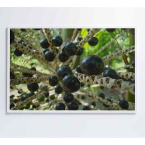 Quadro Açaí 90x60 Cm Vidro Impresso