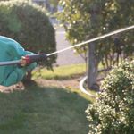 image-947707b5470a4180877376dedd2d2694