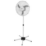 image-21595109eece4a079ecf1cdcdd0e7b4a