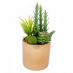 Vaso Decorativo Dourado Com Mix De Suculentas Artificiais 19x8 Cm F04 - D'rossi