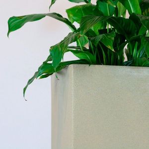 Vaso Malta Trapézio 42 X 76 Cm Cor 11 - Granito Areia