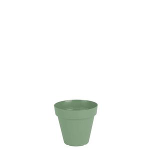 Vaso Sampa 8 X 8 Cm Cor 66 - Verde Vintage